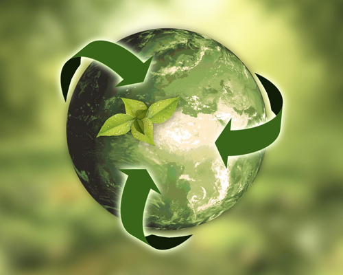 Environmental Responsibility